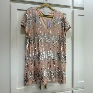 NWT Hausen dress. Size small, generous sizing. Silver and rose gold detailing.